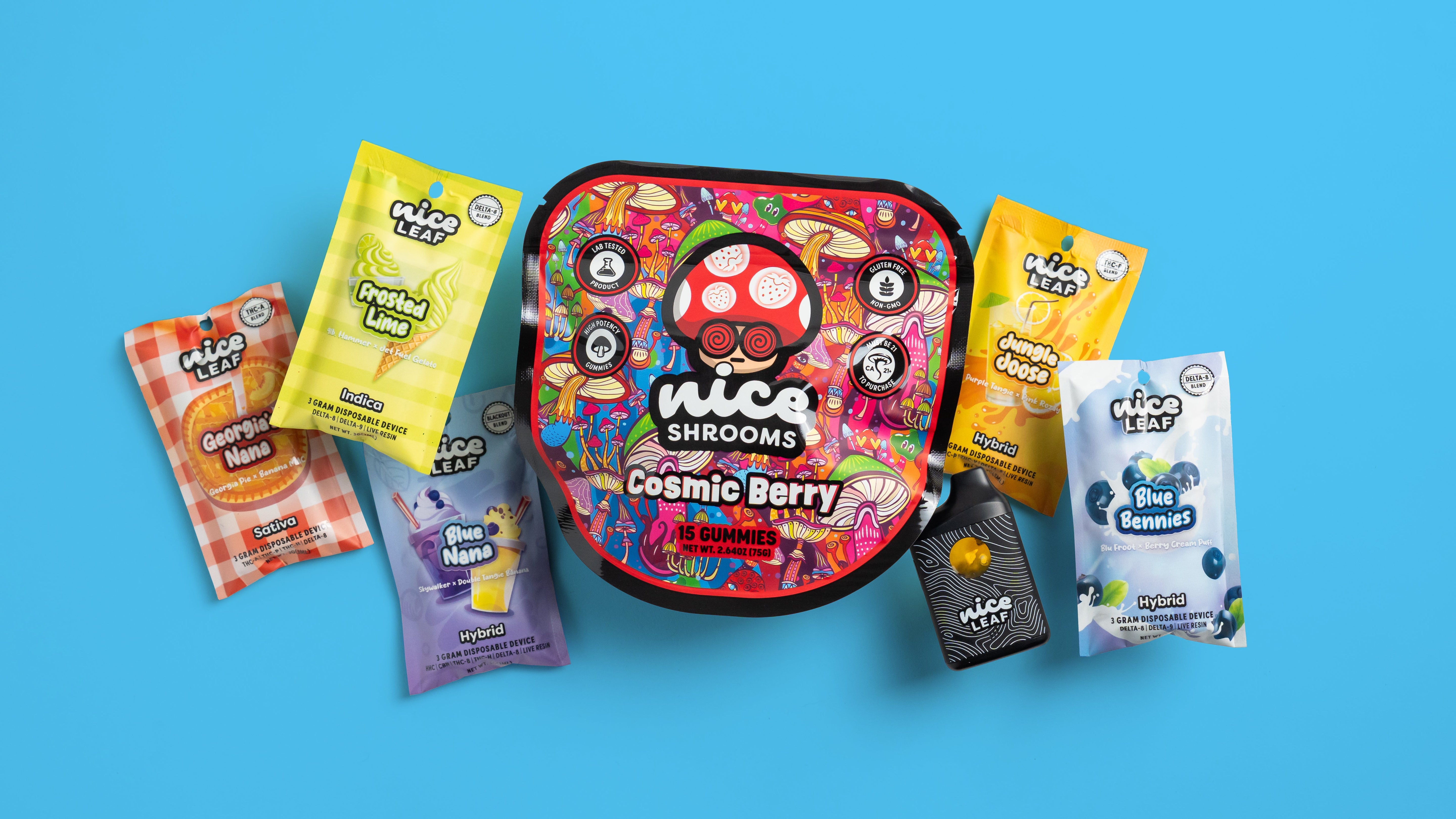 Meet Our Best Sellers